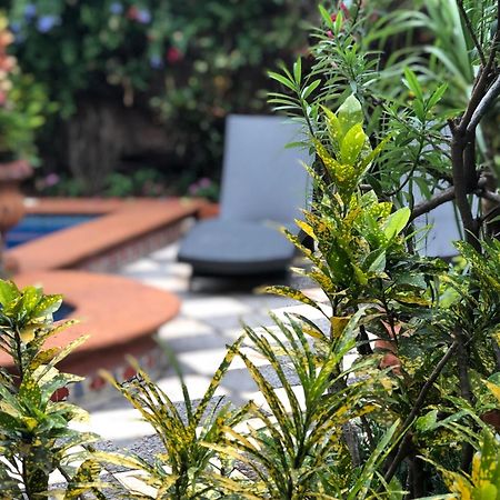 Casa Del Sol Inn Ajijic Εξωτερικό φωτογραφία