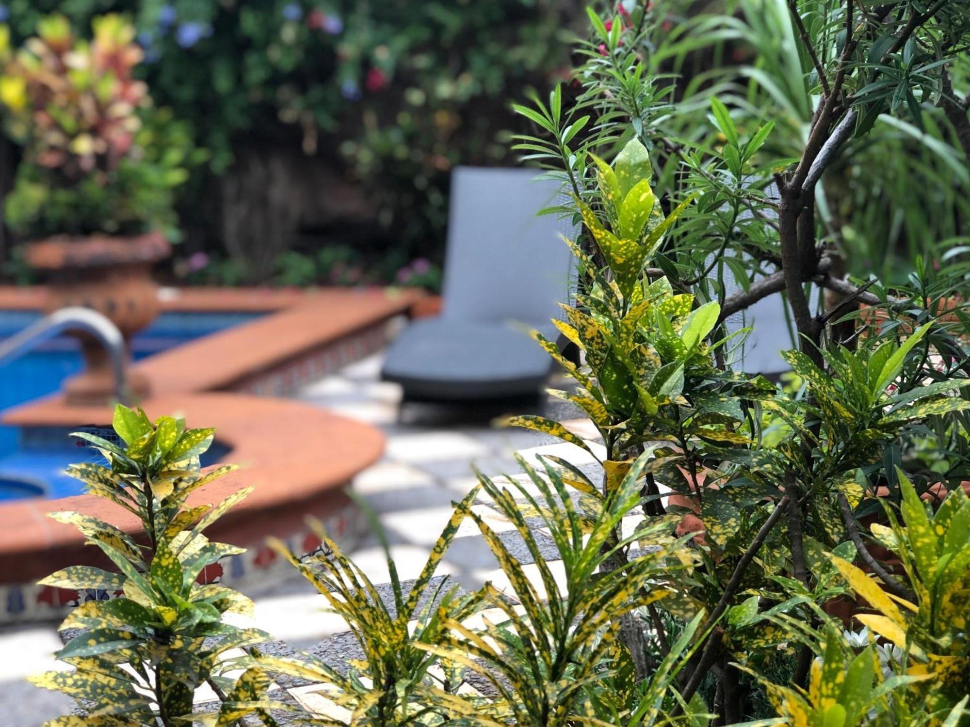 Casa Del Sol Inn Ajijic Εξωτερικό φωτογραφία